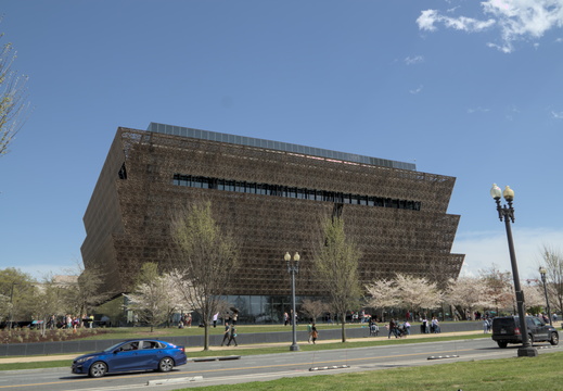 IMG 4512