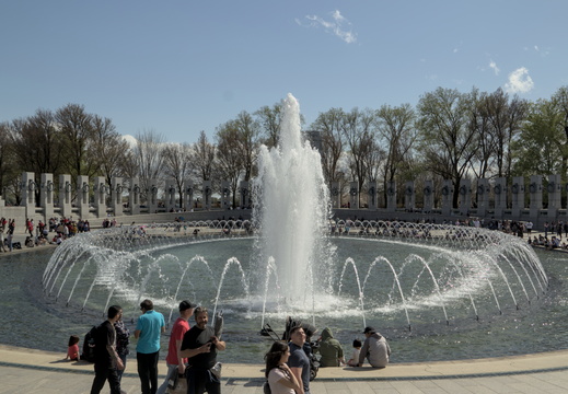 IMG 4545