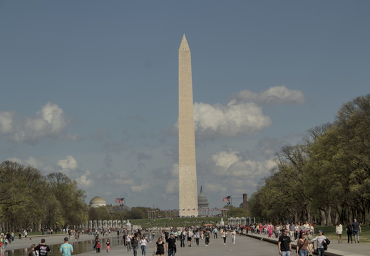 IMG 4548