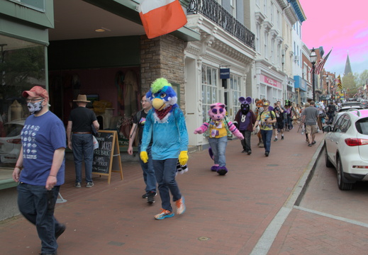 IMG 4613