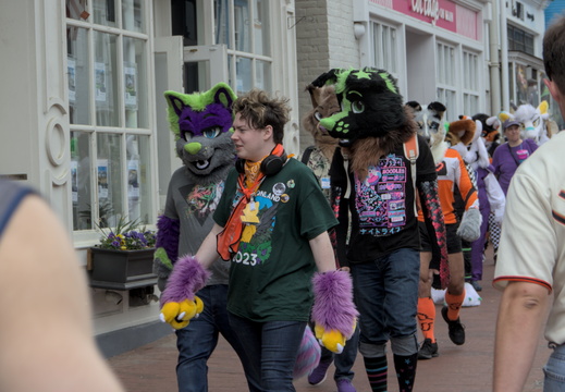 IMG 4618