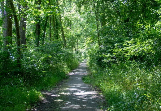 321A6969
