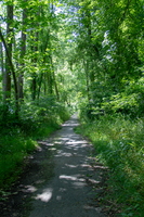 321A6969