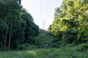 321A7015