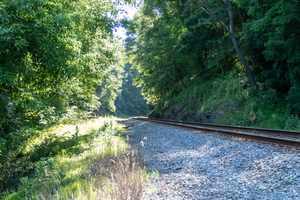 321A7061