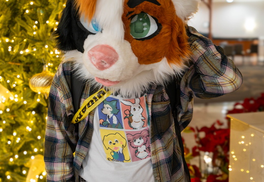 Marbles Coyote