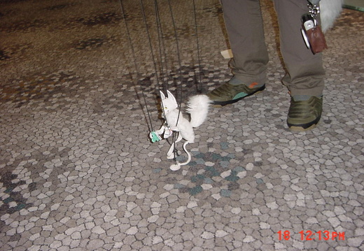 MVC-004F