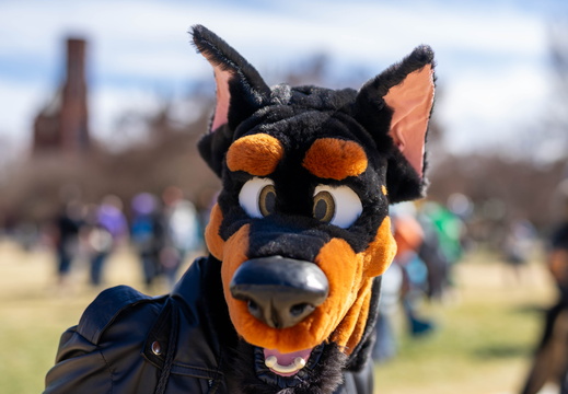  VID3902