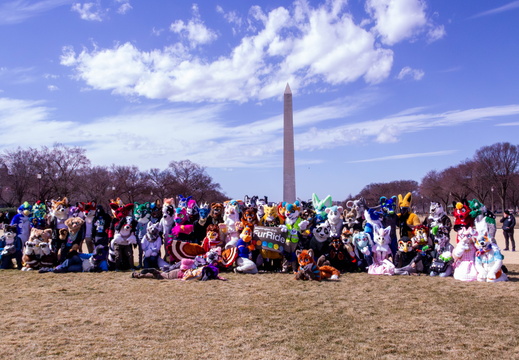 DC FurRide 2
