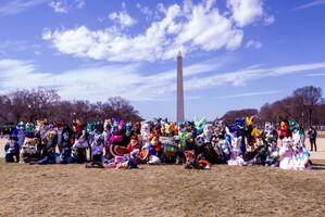 IMG 5060-Enhanced-NR
