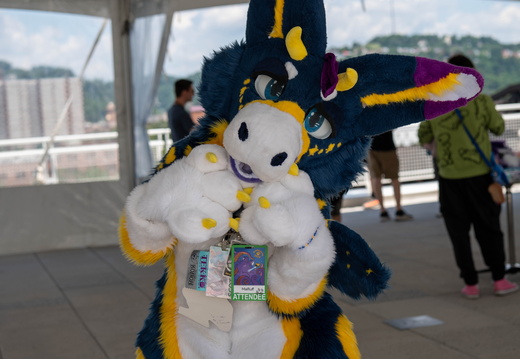 BUN01086