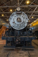 BUN01646