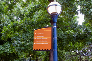 DSC 0425