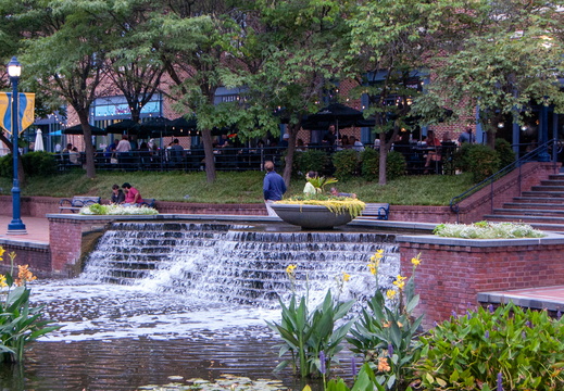 DSC 0435