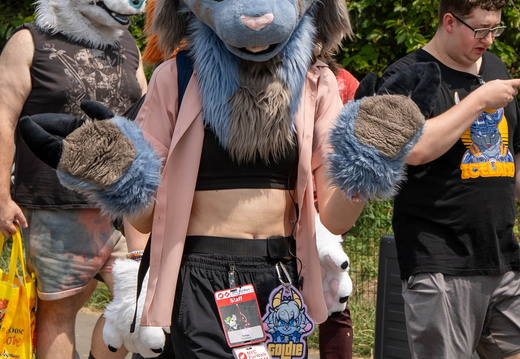 BUN01778
