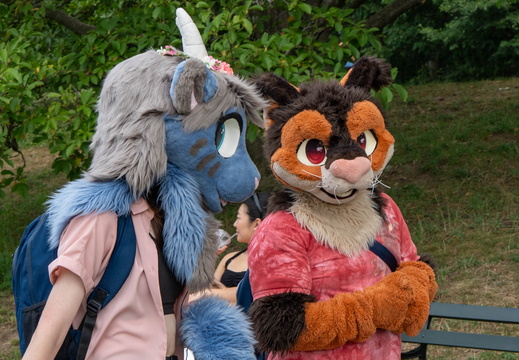 BUN01781