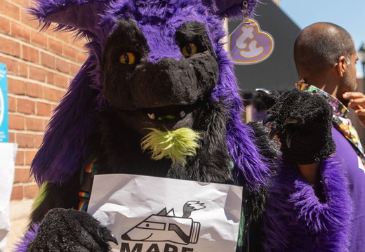 Furmeets