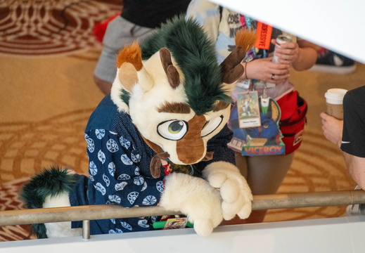 BUN01869