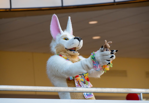 BUN01886