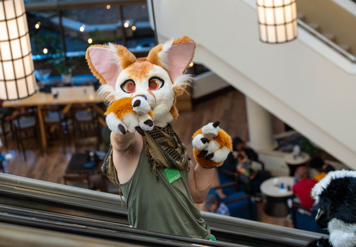 BUN01895