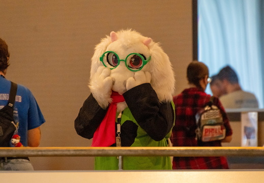BUN01971