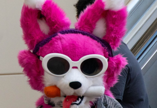 BUN01972