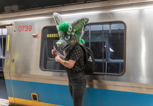 BUN09111