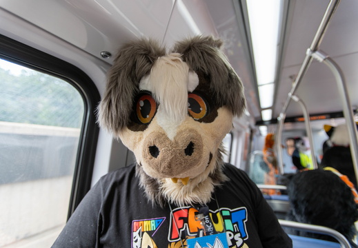 BUN09210