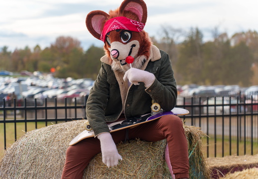 BUN09431