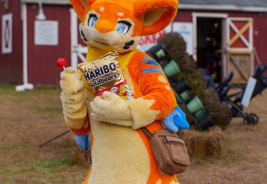 BUN09443