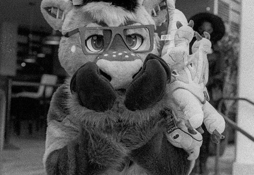 Furpocalypse 2025 - Film