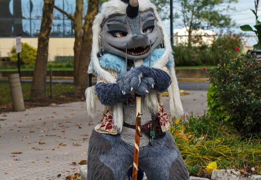  DSC5077