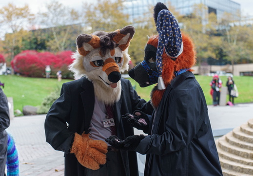 Furcons