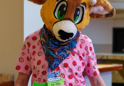 BUN09543