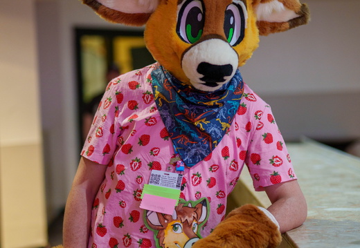 BUN09556
