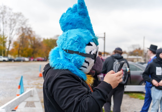 BUN00118