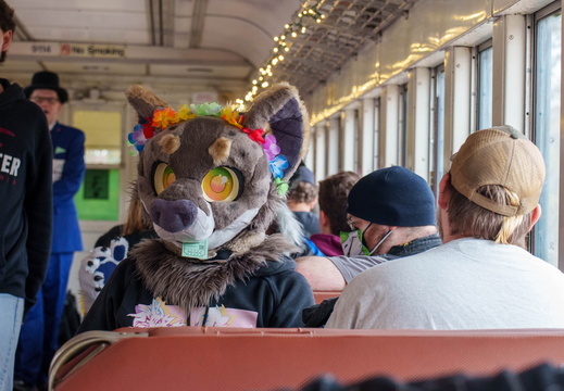 BUN00157