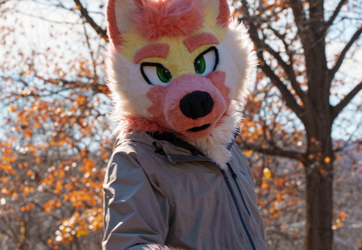 BUN00344