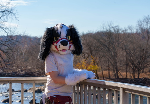 BUN00360