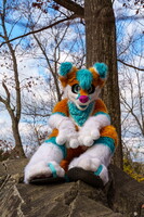 BUN00460