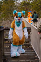 BUN00473