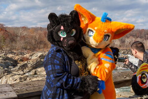 BUN00533