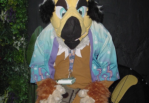 DC Furmeet Pitchers 2025-12-13