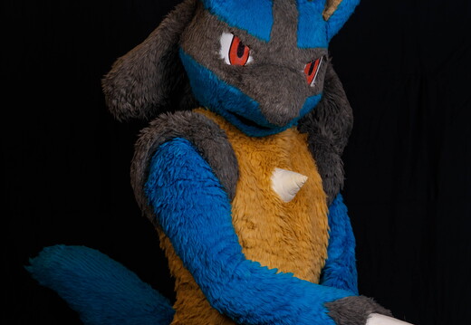 BUN01856