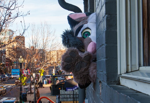 BUN02463