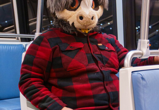 BUN02508