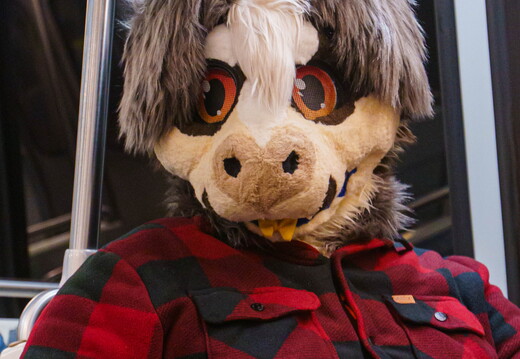 BUN02510