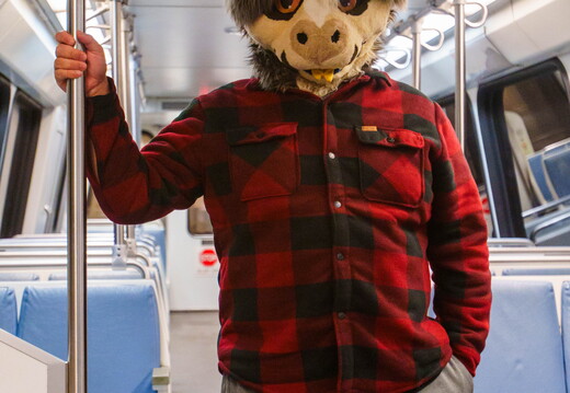 DC Furmeet Pitchers 2026-02-21