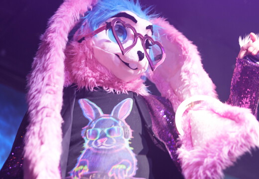 BUN02549