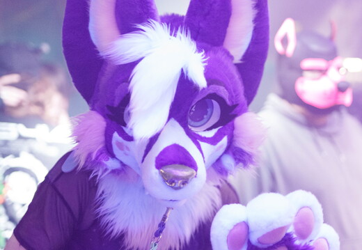BUN02623